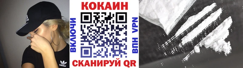 COCAIN Fish Scale  Купить  Медынь 