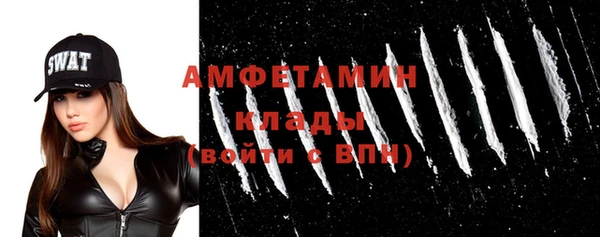 сатива Богданович