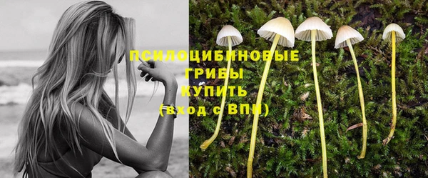 сатива Богданович