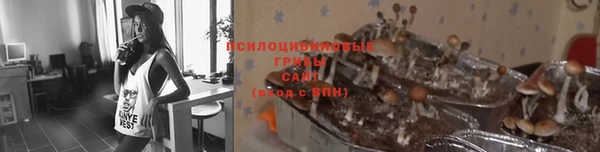 наркотики Богородск