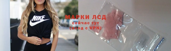сатива Богданович