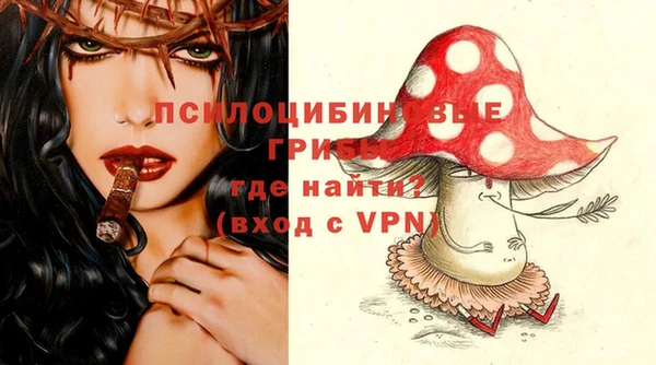 сатива Богданович