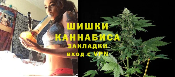 2c-b Богородицк