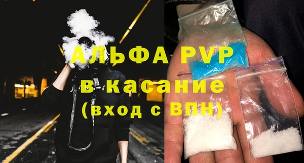 сатива Богданович