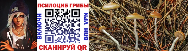 Псилоцибиновые грибы ЛСД Купить где Медынь
